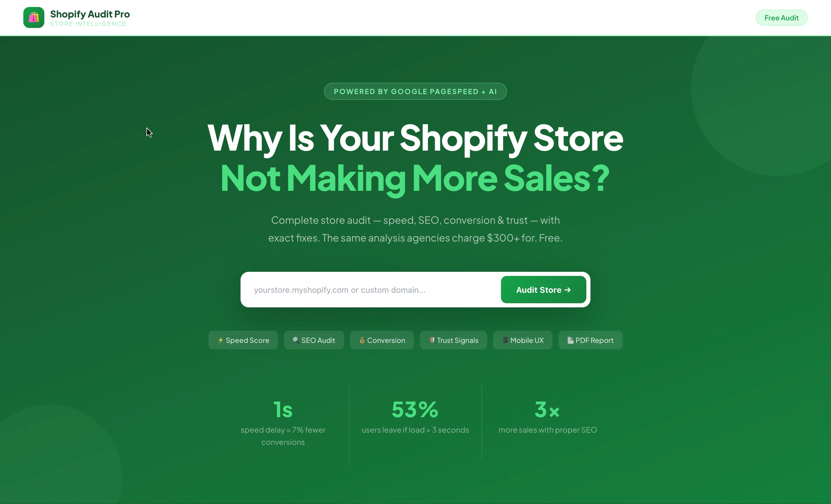 Shopify Audit Pro